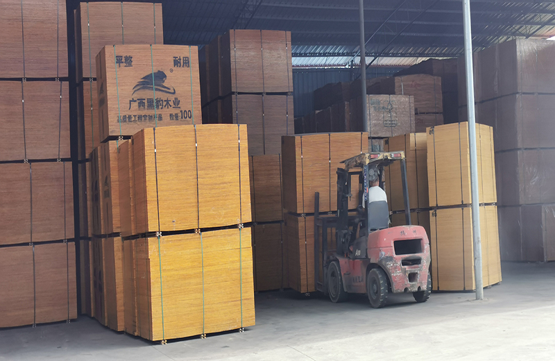 1636337133490347.jpg HB (1000).jpg