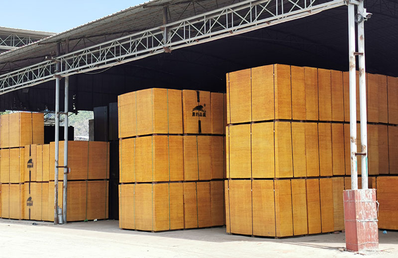 1636339607224820.jpg HB (1083).jpg