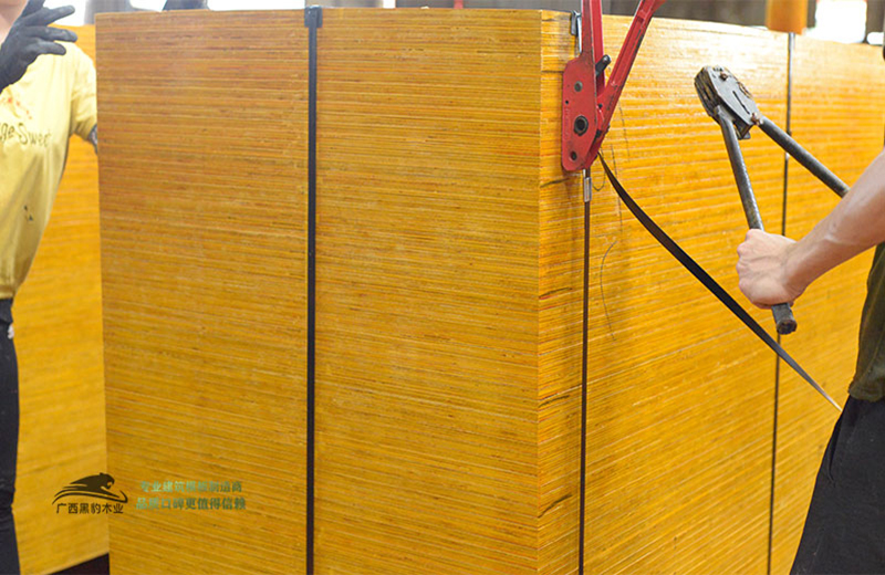 1636448691548899.jpg HB (1108).jpg