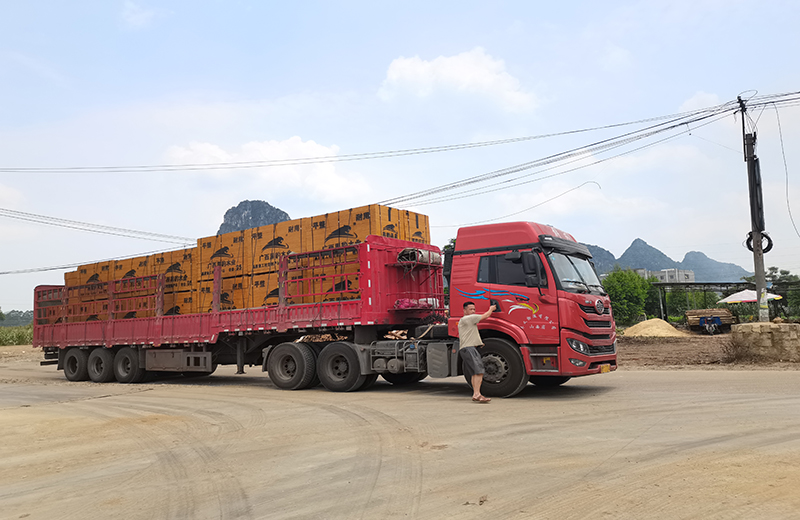 1636530754157892.jpg HB (658).jpg