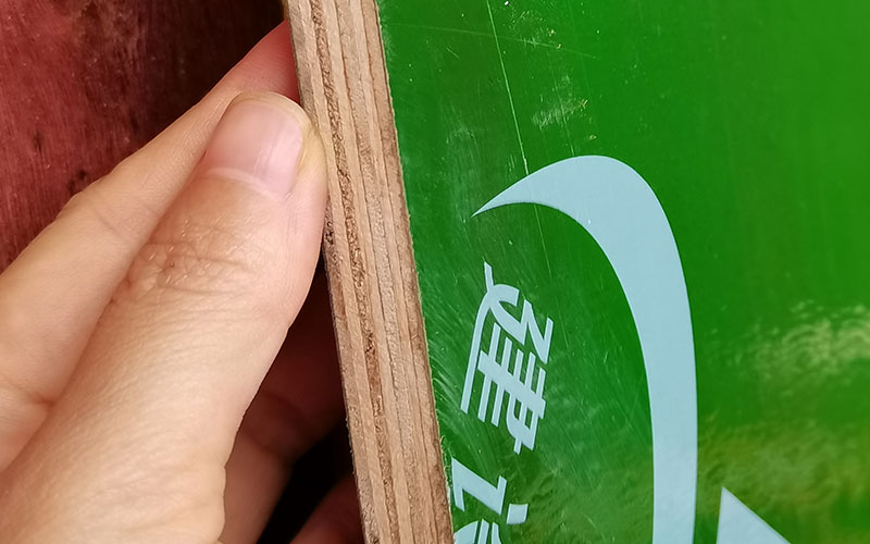 1640049034132019.jpg 6.jpg