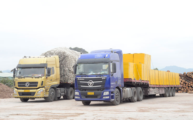 1640223003905539.jpg 23.jpg