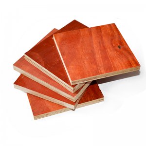 桉木十層紅板