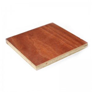 桉木十一層紅板