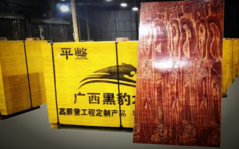 柳州建筑模板八層板