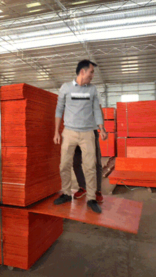 柳州建筑模板八層板