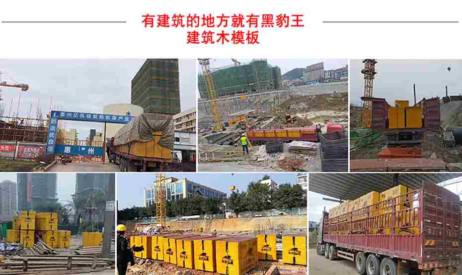黑豹建筑模板使用案例
