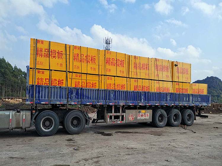 東龍鎮(zhèn)較大的模板廠-占地一千五百畝