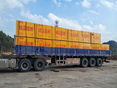 廣西貴港東龍鎮(zhèn)模板廠-東龍鎮(zhèn)較大的模板廠