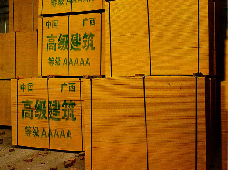 廣西貴港市福龍木業(yè)