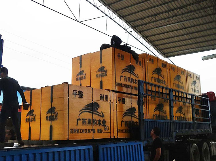 建材模板供應(yīng)案例-實(shí)發(fā)22車